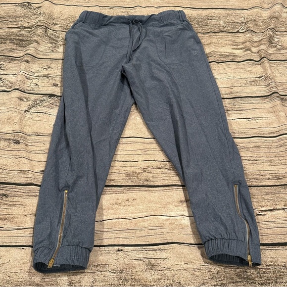 Albion Slate Blue Joggers With Zippers At Cuffs; Size Petite XS - Picture 1 of 12